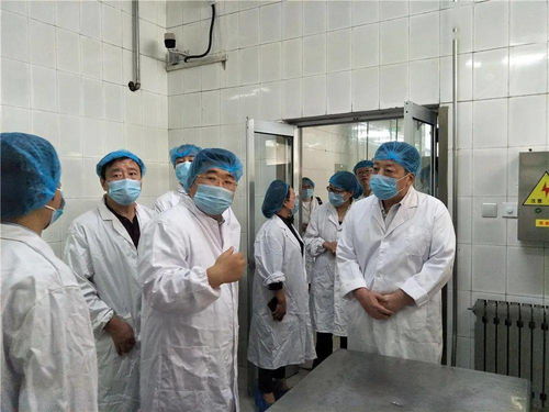 濟(jì)南旅游學(xué)校餐飲服務(wù)食品安全獲評A級，順利通過市級專項檢查