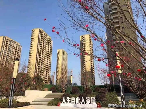 鎮(zhèn)江新盤(pán)速遞 一站式獲取樓盤(pán)動(dòng)態(tài)、地址戶型與教育資源解析